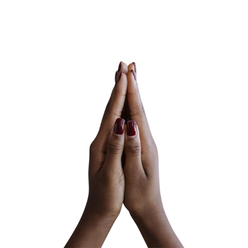 November Blog: Gratitude & Giving - Selfless Self-Care,