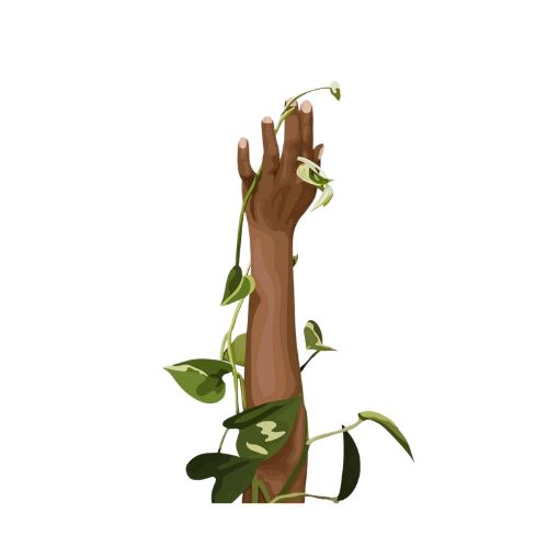 March 2026: Embracing Seasonal Self-Care